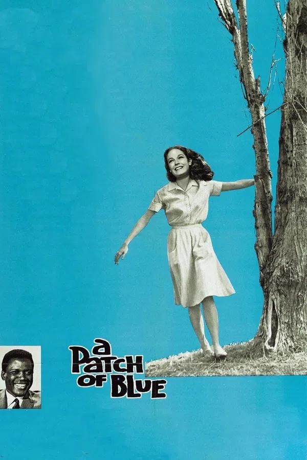 Poster phim A Patch Of Blue trên SubNhanh