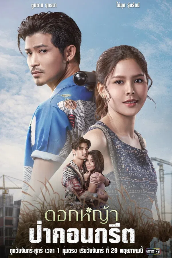 Xem Phim A Wildflower in the City Vietsub HD Online