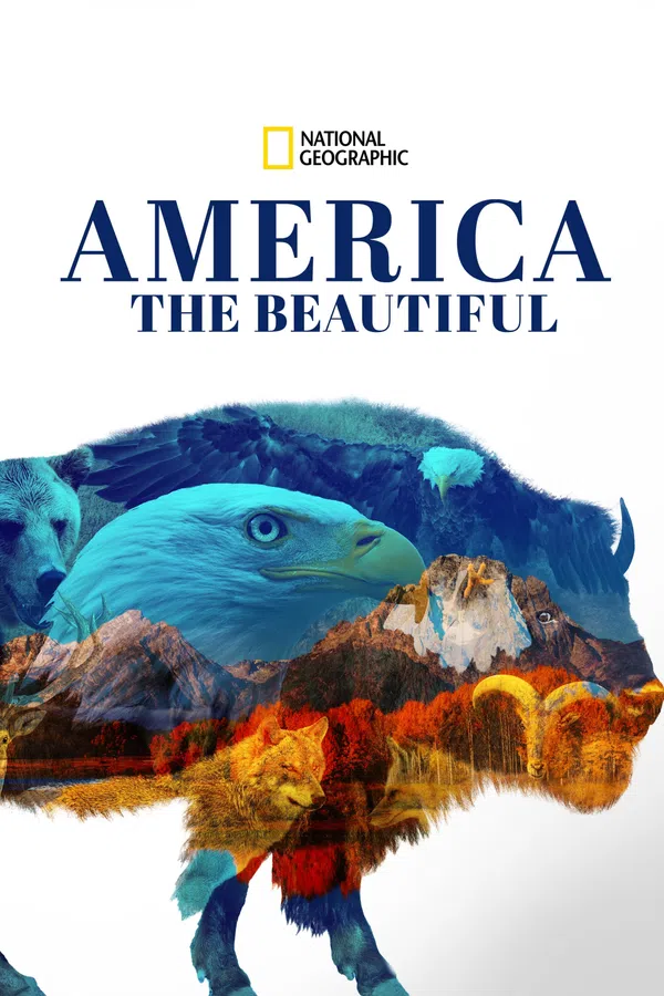 Poster phim America the Beautiful trên SubNhanh