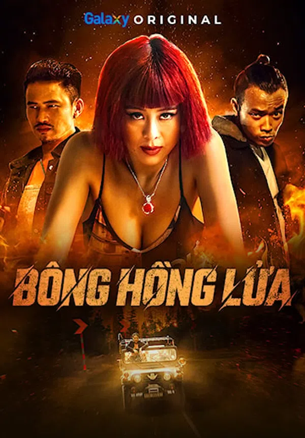 Poster phim Bông Hồng Lửa trên SubNhanh