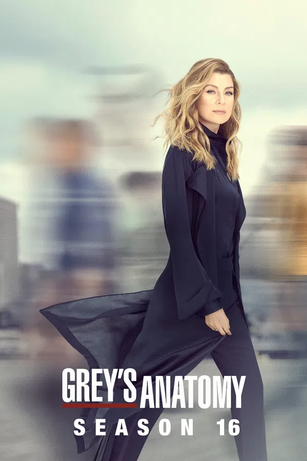 Xem Phim Ca Phẫu Thuật Của Grey (Phần 16) Vietsub HD Online