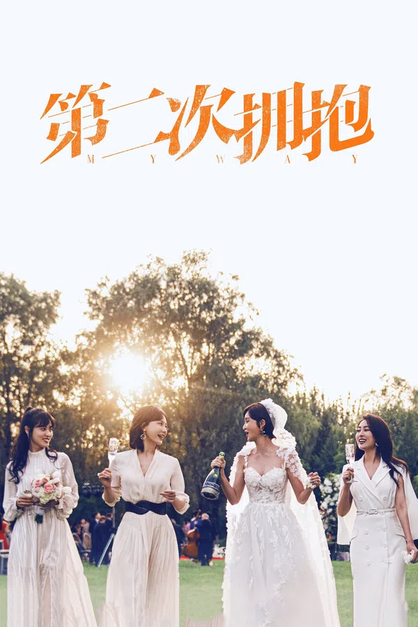 Poster phim Cái Ôm Thứ Hai trên SubNhanh