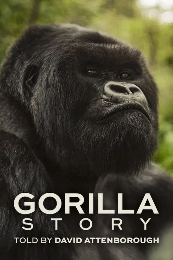 Poster phim Câu Chuyện Khỉ Đột: Qua Lời Kể Của David Attenborough trên SubNhanh