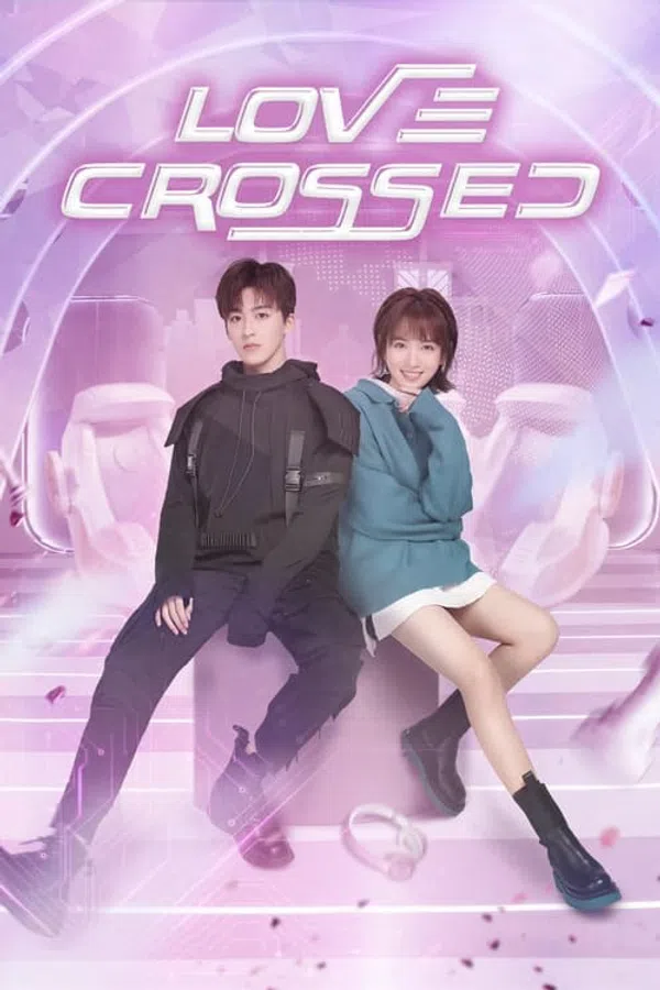 Poster phim Chàng Trai Hoàn Hảo trên SubNhanh