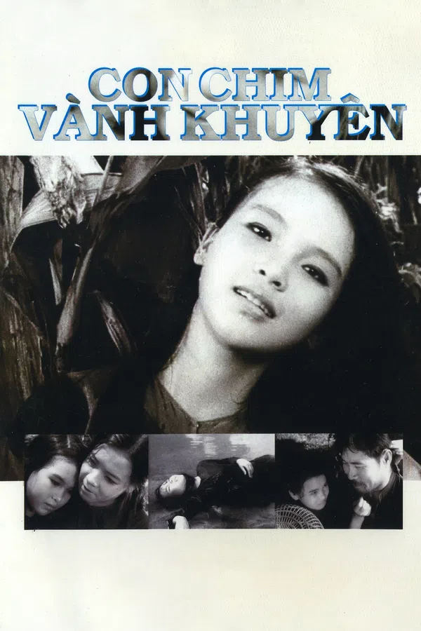 Poster phim Con Chim Vành Khuyên trên SubNhanh