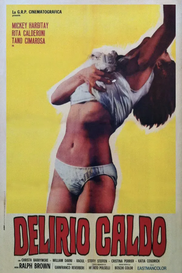 Poster phim Cơn Mê Nóng Bỏng trên SubNhanh