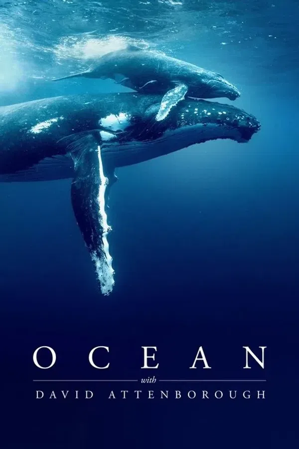Poster phim Đại dương cùng David Attenborough trên SubNhanh