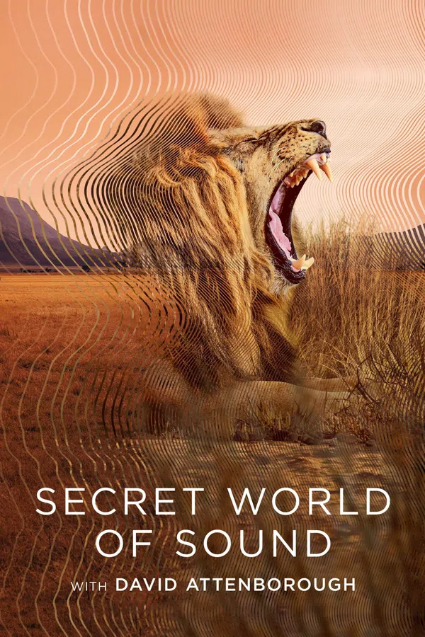 Xem Phim David Attenborough: Thế giới bí mật của âm thanh Vietsub HD Online