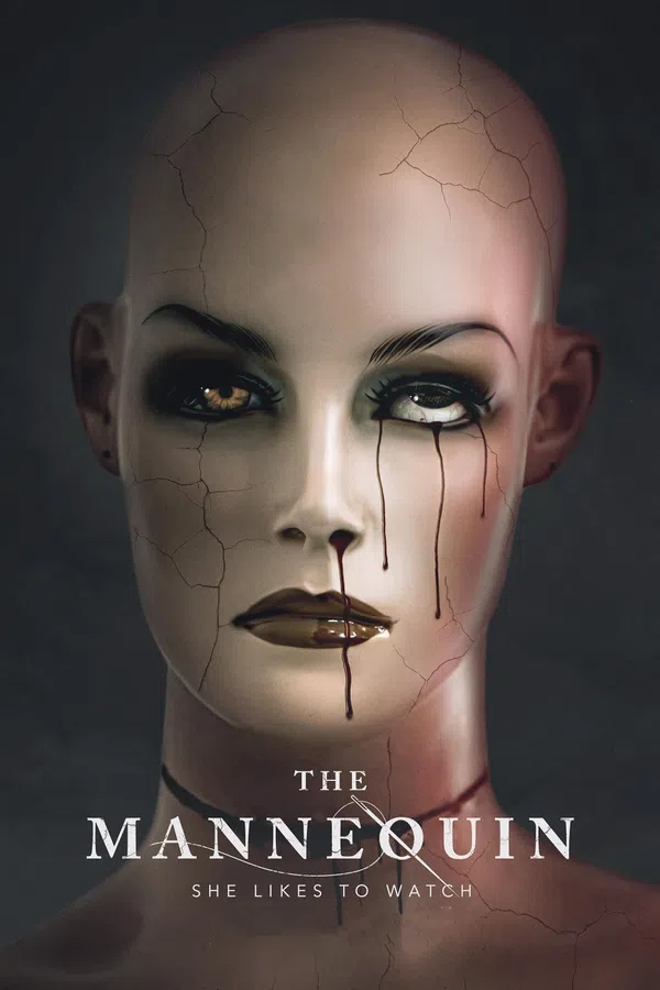 Poster phim Điều Tra trên SubNhanh
