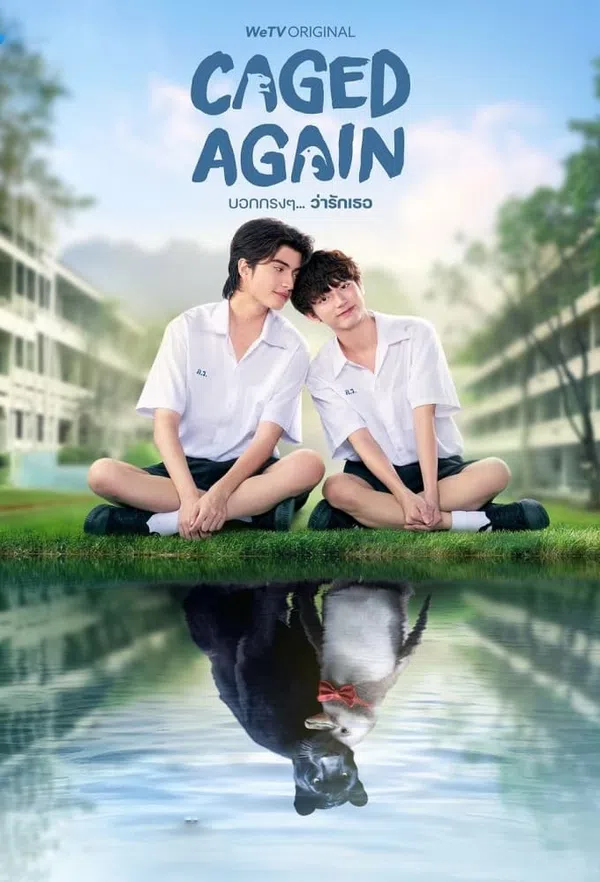 Xem Phim Dũng Cảm Nói Yêu Người Vietsub HD Online
