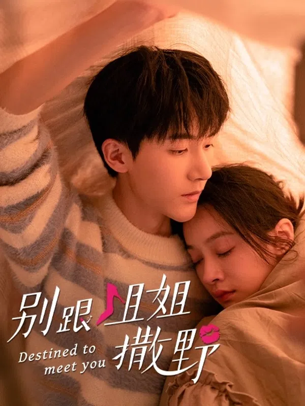 Poster phim Đừng Nhờn Với Chị trên SubNhanh