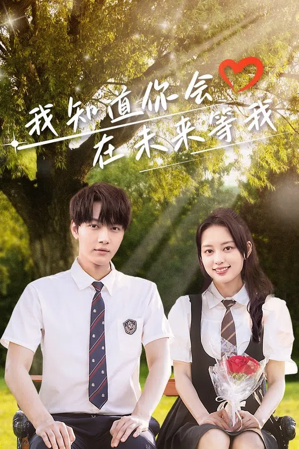Poster phim Em Biết Anh Sẽ Đợi Em Ở Tương Lai trên SubNhanh
