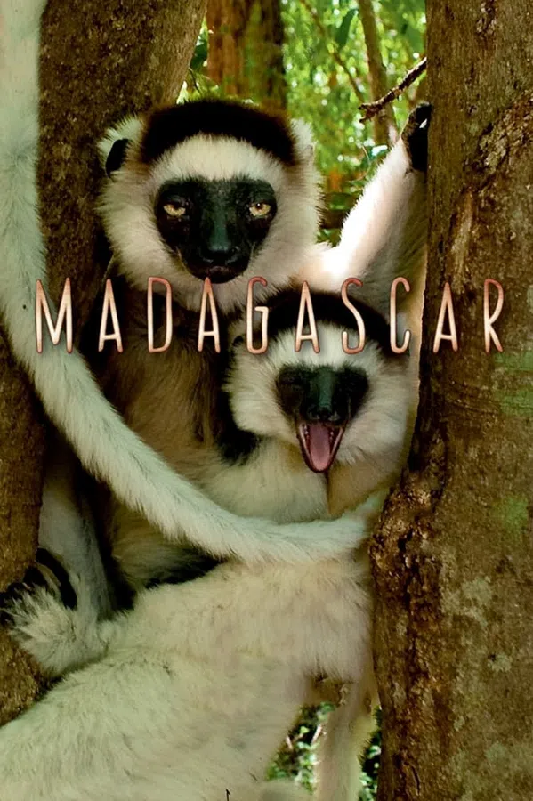 Xem Phim Madagascar 2011 Vietsub HD Online