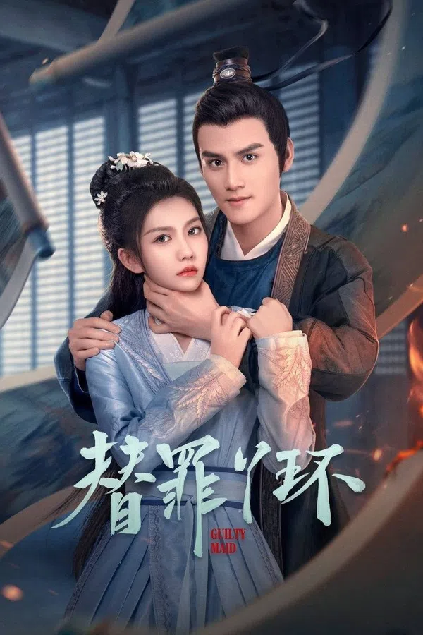 Poster phim Nha Hoàn Thế Tội trên SubNhanh