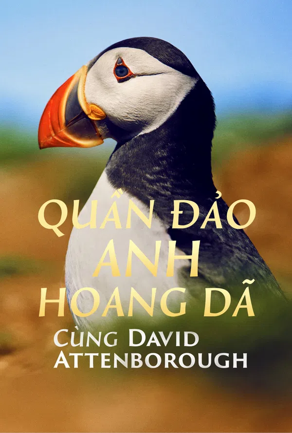 Poster phim Quần Đảo Anh Hoang Dã trên SubNhanh