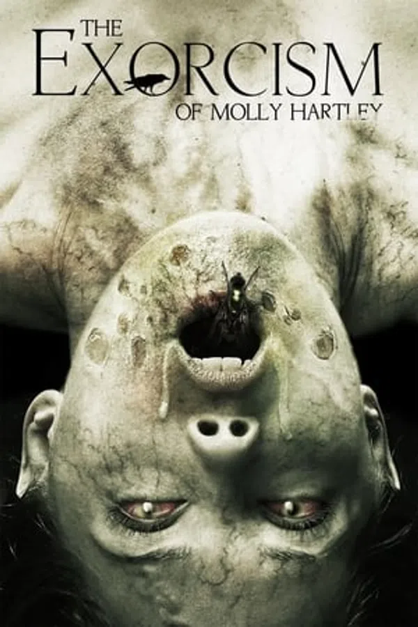 Poster phim Quỷ Ám Molly Hartley trên SubNhanh