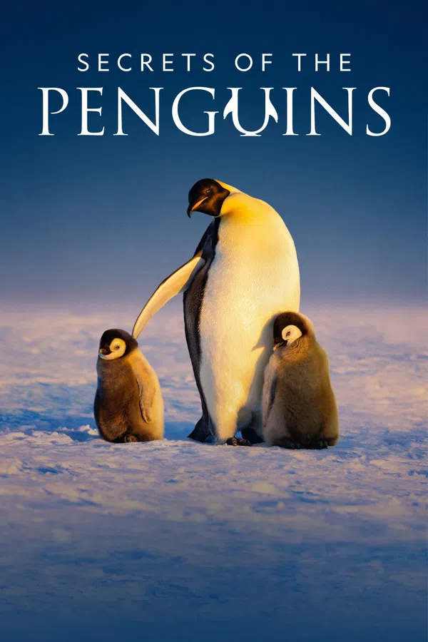 Xem Phim Secrets of the Penguins Vietsub HD Online