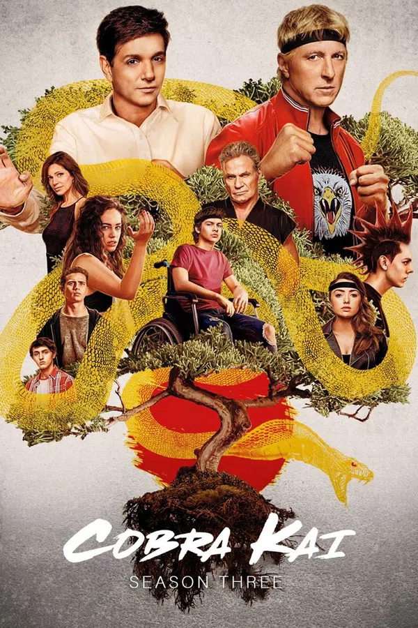 Poster phim Võ Đường Cobra Kai (Phần 3) trên SubNhanh
